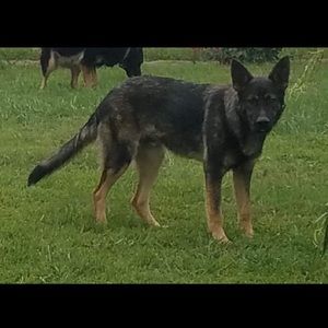 Meet your Posher, James